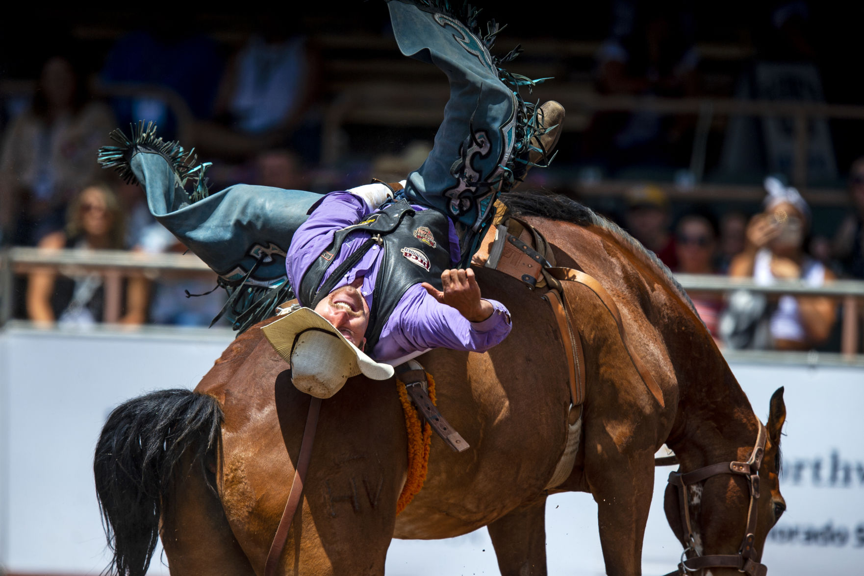 Sports Rodeo - Saturday 15.JPG
